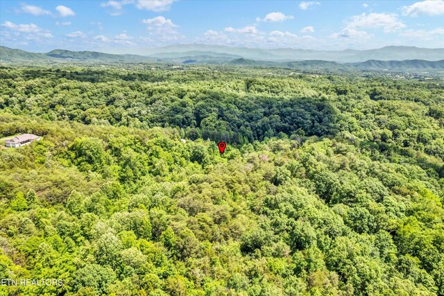5 Amis Way, Sevierville, TN 37876