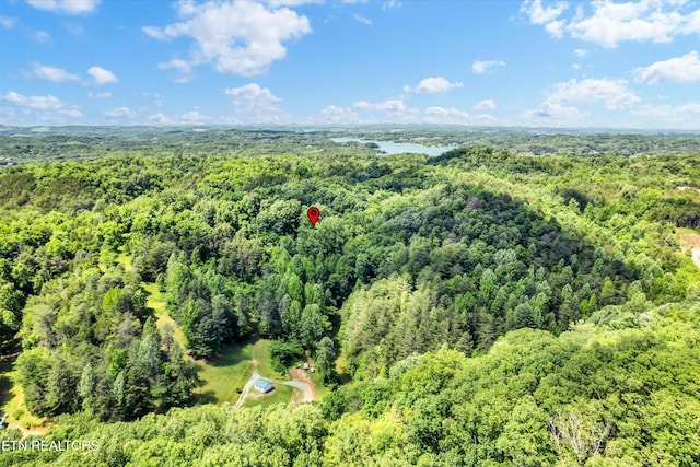 5 Amis Way, Sevierville, TN 37876