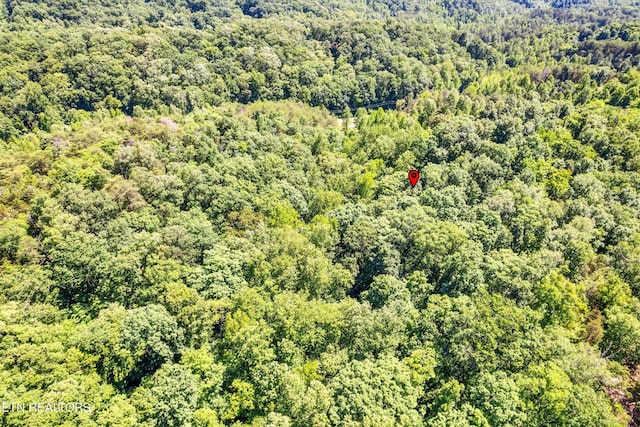 5 Amis Way, Sevierville, TN 37876