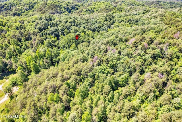 5 Amis Way, Sevierville, TN 37876
