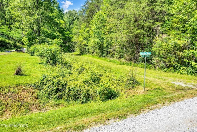 5 Amis Way, Sevierville, TN 37876