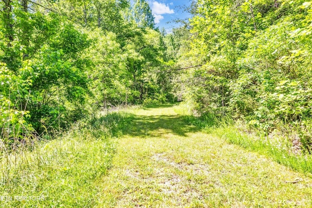 5 Amis Way, Sevierville, TN 37876