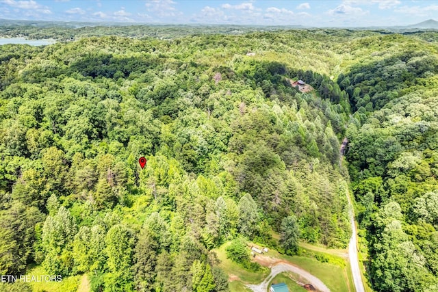 5 Amis Way, Sevierville, TN 37876