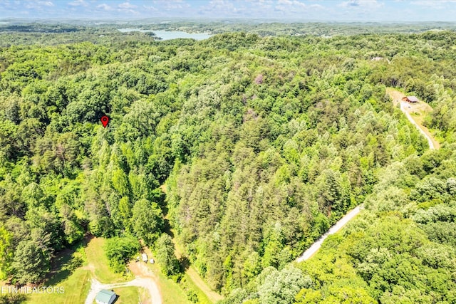 5 Amis Way, Sevierville, TN 37876