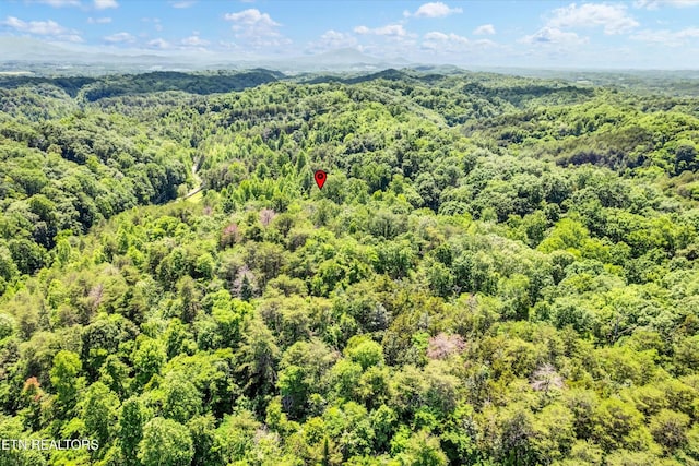 5 Amis Way, Sevierville, TN 37876