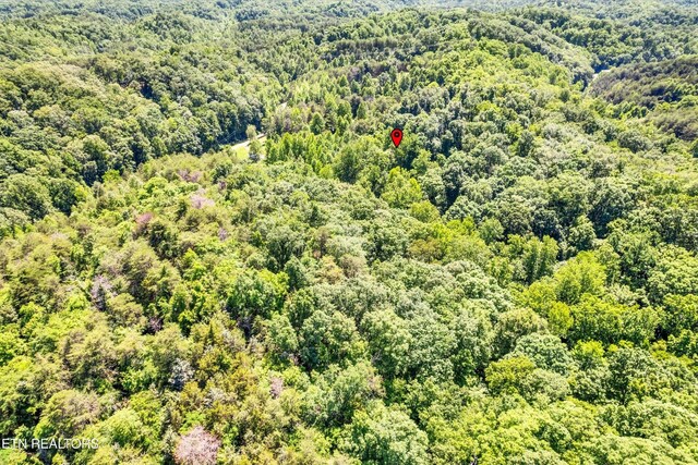 5 Amis Way, Sevierville, TN 37876