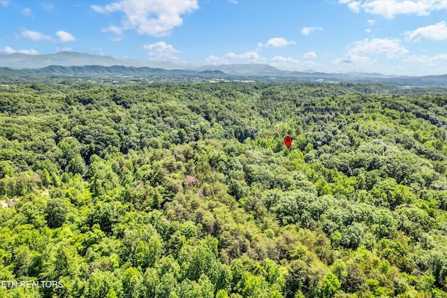 5 Amis Way, Sevierville, TN 37876