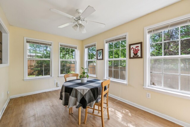 602 Village Green Cir, Murfreesboro, TN 37128 - photo 37