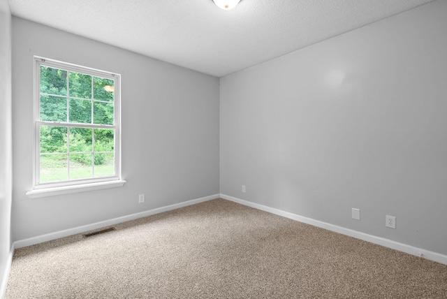 271 Golden Pond Ave, Oak Grove, KY 42262 - carpeted spare room featuring baseboards and a textured ceiling