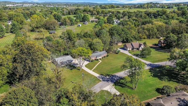 401 Ellington Dr, Franklin, TN 37064 - bird's eye view