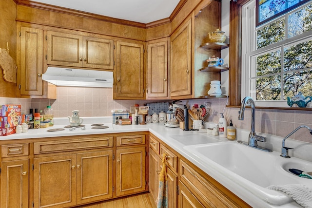 401 Ellington Dr, Franklin, TN 37064 - kitchen featuring a sink, under cabinet range hood, light countertops, and tasteful backsplash
