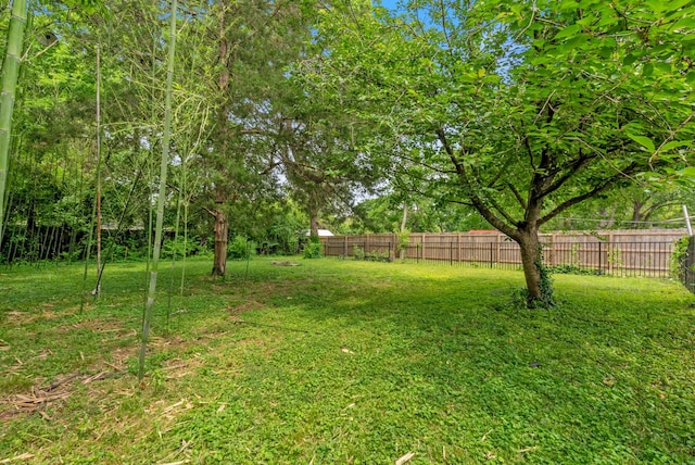1305 Riverwood Dr, Nashville, TN 37216 - view of yard