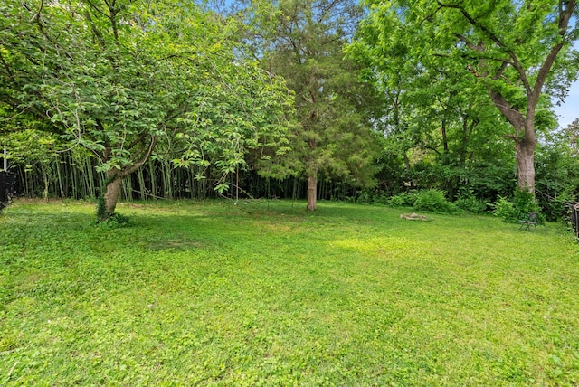 1305 Riverwood Dr, Nashville, TN 37216 - view of green lawn