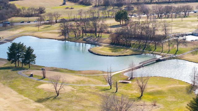 1101 Wedgewood Dr, Gallatin, TN 37066 - water view