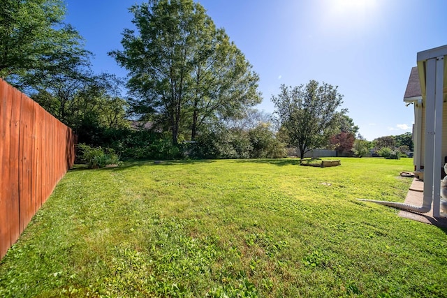 1101 Wedgewood Dr, Gallatin, TN 37066 - view of yard