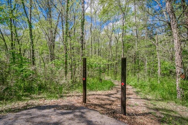 0 Savannah Dr, Smithville, TN 37166 - photo 5