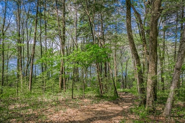 0 Savannah Dr, Smithville, TN 37166 - photo 6