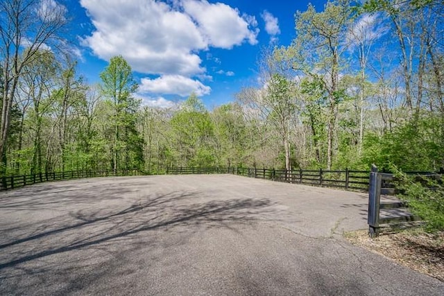 0 Savannah Dr, Smithville, TN 37166 - photo 4