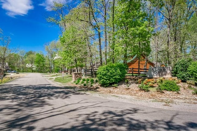 0 Savannah Dr, Smithville, TN 37166 - photo 10