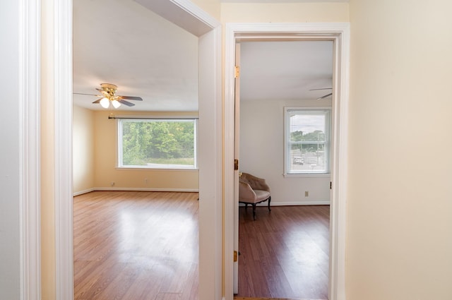 946 Youngs Ln, Nashville, TN 37207 - photo 6