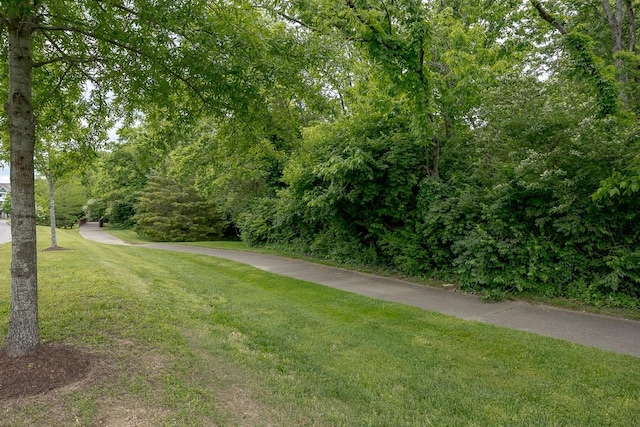 1901 Shadow Green Dr Unit 303, Franklin, TN 37064 - view of road