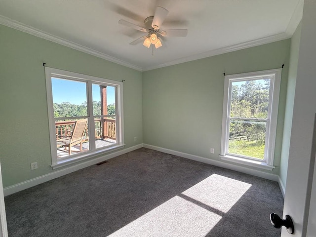 1234 Cliff Amos Rd, Spring Hill, TN 37174 - photo 28