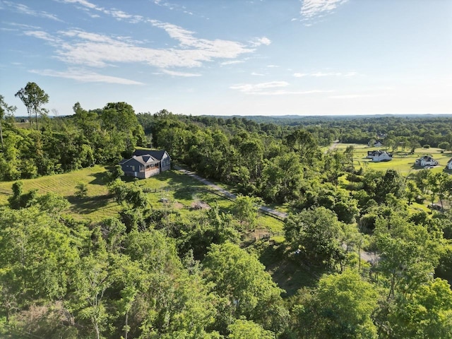 1234 Cliff Amos Rd, Spring Hill, TN 37174 - photo 3