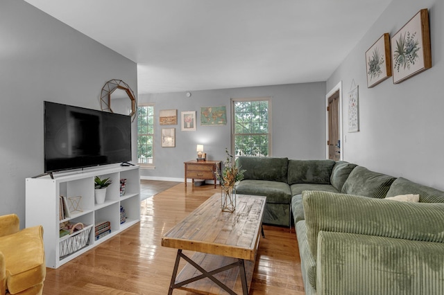 1011 Murfreesboro Rd Unit L3, Franklin, TN 37064 - living room featuring healthy amount of natural light, wood finished floors, and baseboards
