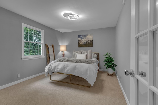 1011 Murfreesboro Rd Unit L3, Franklin, TN 37064 - bedroom featuring carpet and baseboards
