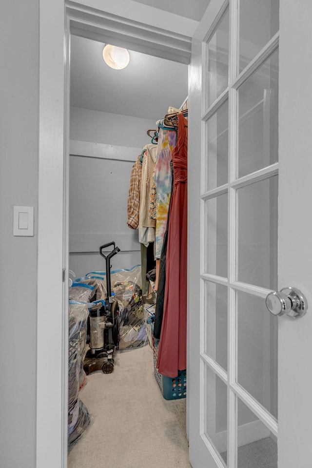 1011 Murfreesboro Rd Unit L3, Franklin, TN 37064 - walk in closet featuring carpet