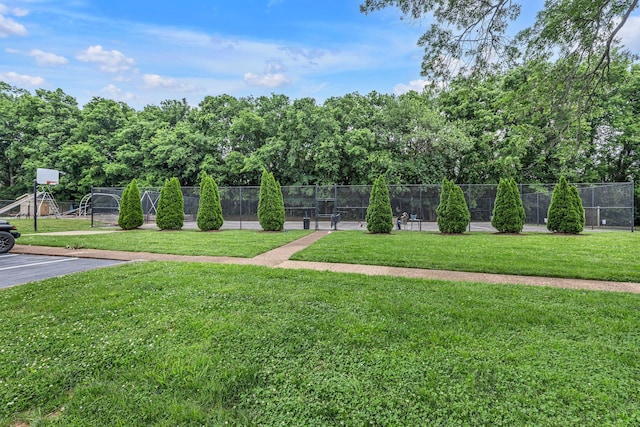 1011 Murfreesboro Rd Unit L3, Franklin, TN 37064 - view of yard