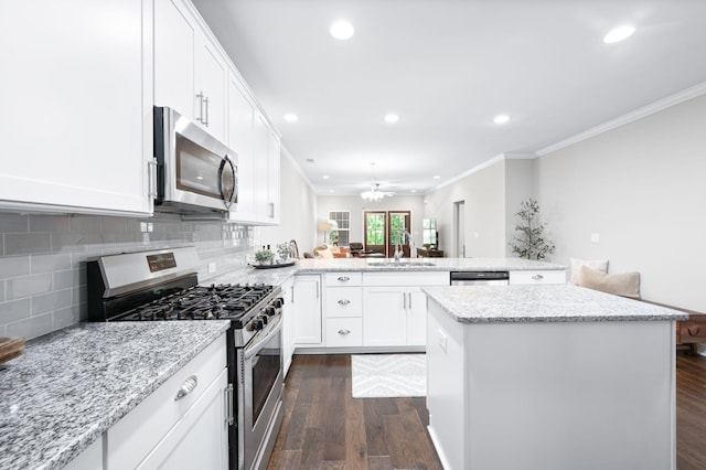 3023 Moultrie Cir, Franklin, TN 37064 - kitchen featuring appliances with stainless steel finishes, a sink, a peninsula, ornamental molding, and recessed lighting