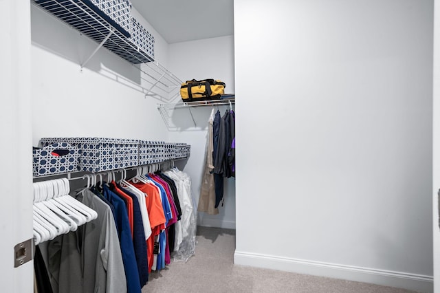 3023 Moultrie Cir, Franklin, TN 37064 - spacious closet featuring carpet floors
