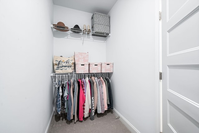 3023 Moultrie Cir, Franklin, TN 37064 - walk in closet with carpet flooring