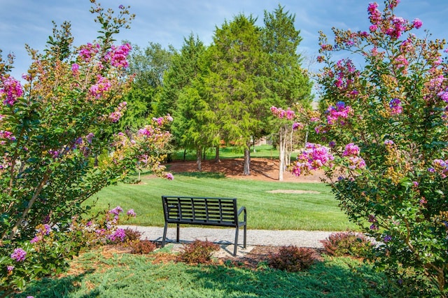 3023 Moultrie Cir, Franklin, TN 37064 - surrounding community with a lawn
