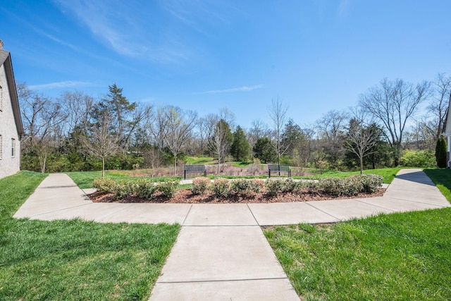 3023 Moultrie Cir, Franklin, TN 37064 - view of green lawn