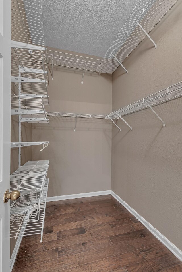 2240 Joann Dr, Spring Hill, TN 37174 - spacious closet with wood finished floors