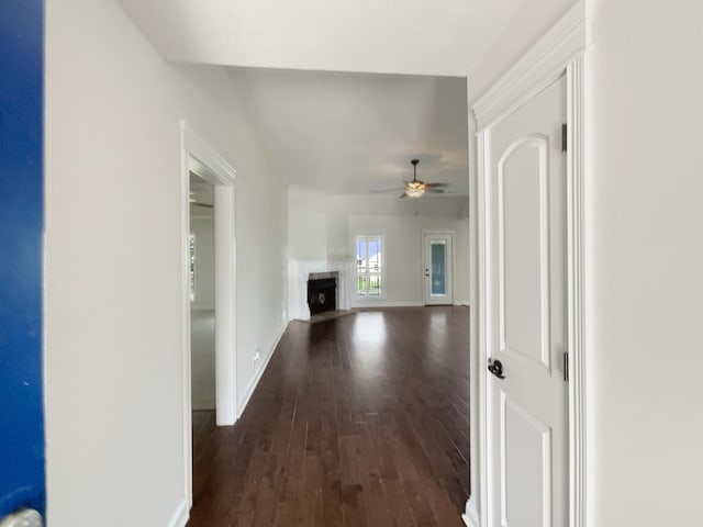 1761 Spring Haven Dr, Clarksville, TN 37042 - photo 4