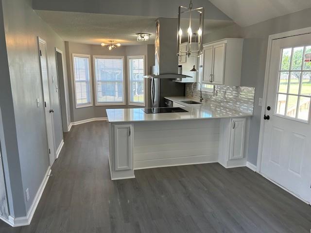 1047 Tylertown Rd, Clarksville, TN 37040 - kitchen featuring a chandelier, a sink, exhaust hood, light countertops, and vaulted ceiling