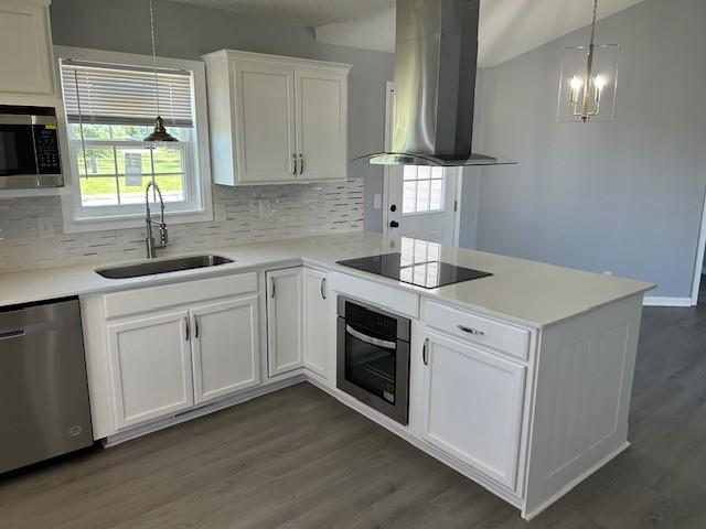 1047 Tylertown Rd, Clarksville, TN 37040 - kitchen featuring wall chimney range hood, appliances with stainless steel finishes, a sink, decorative backsplash, and dark wood-style floors