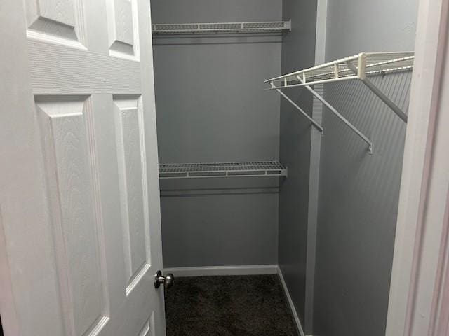 1047 Tylertown Rd, Clarksville, TN 37040 - spacious closet with carpet flooring