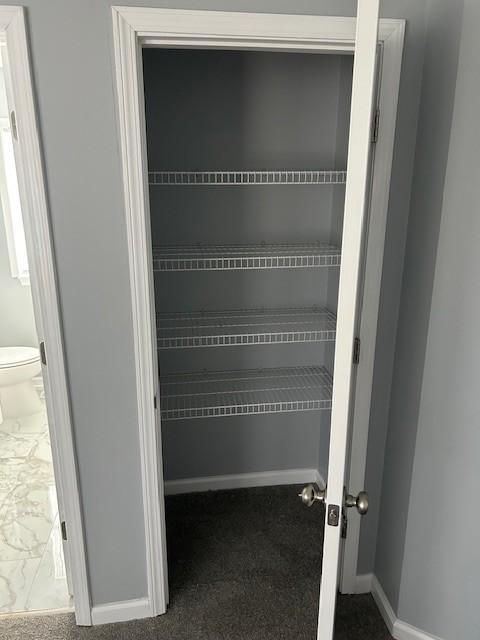 1047 Tylertown Rd, Clarksville, TN 37040 - view of closet