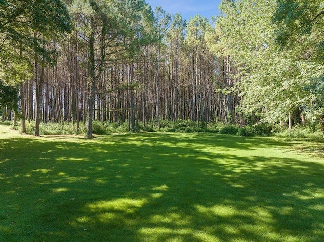 1273 Palmer Rd, Lexington, TN 38351 - photo 40