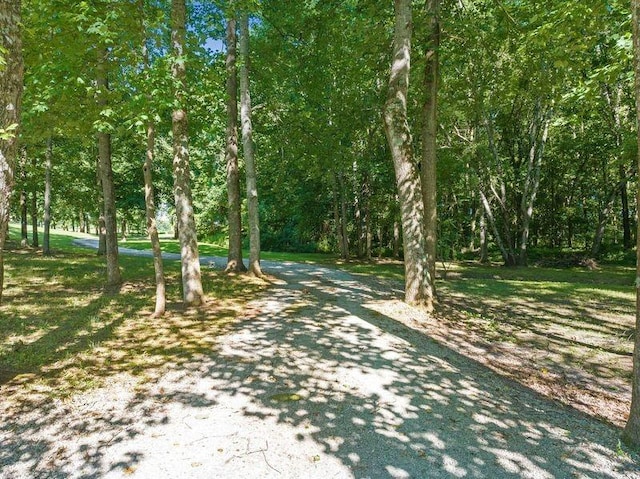 1273 Palmer Rd, Lexington, TN 38351 - photo 36