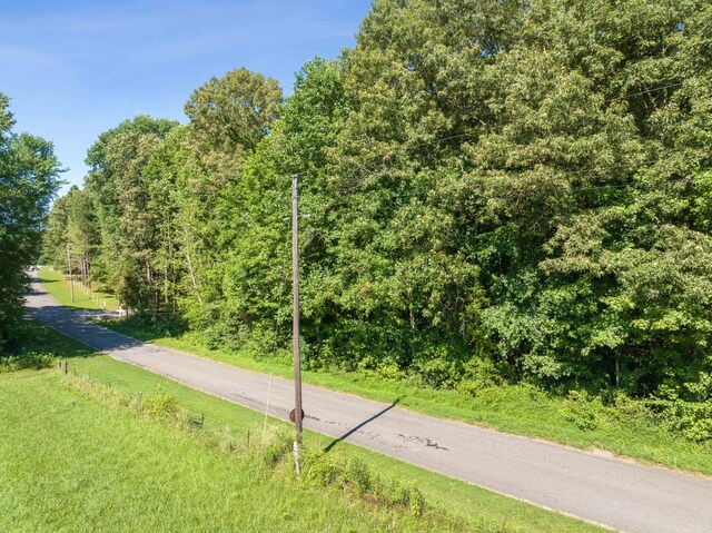 1273 Palmer Rd, Lexington, TN 38351 - photo 34