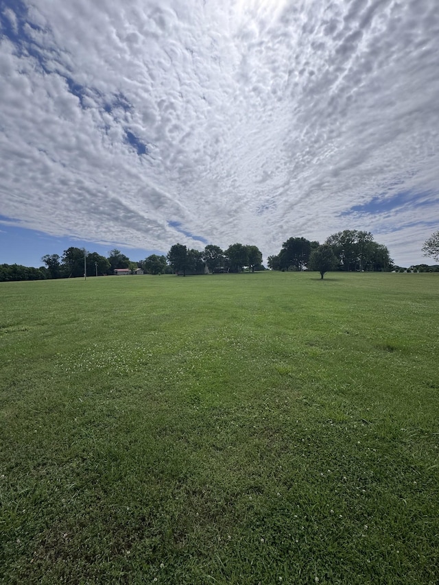 1111 Craig Moore Rd, Lewisburg, TN 37091 - view of green lawn with a rural view