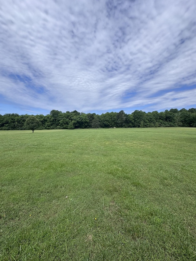 1111 Craig Moore Rd, Lewisburg, TN 37091 - view of grassy yard