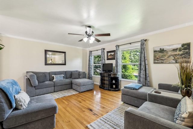 101 Townview Dr, Smyrna, TN 37167 - living area with a ceiling fan, light wood finished floors, and ornamental molding