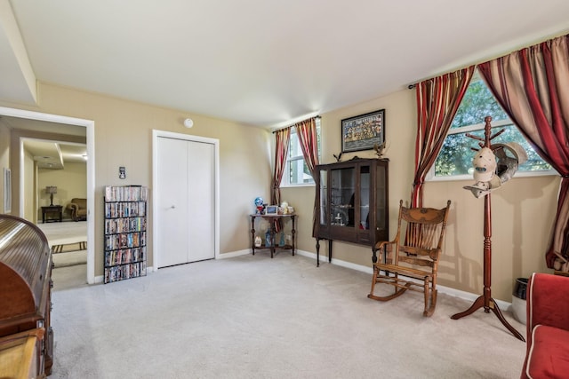 101 Townview Dr, Smyrna, TN 37167 - sitting room with carpet and baseboards