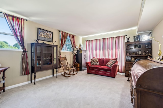 101 Townview Dr, Smyrna, TN 37167 - view of carpeted bedroom
